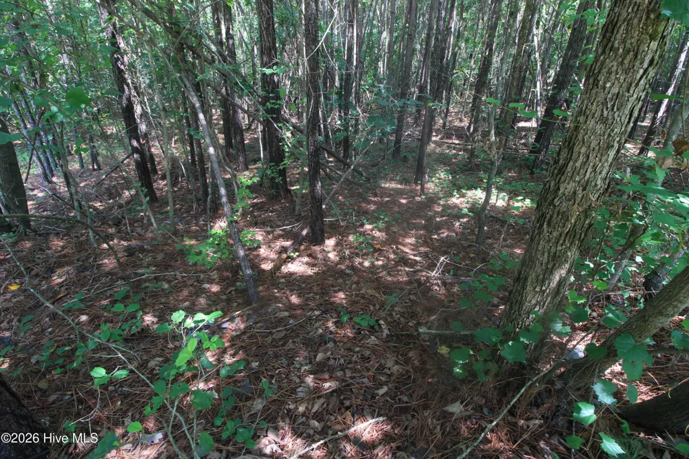 0 Crowatan Trail Carthage, NC 28327