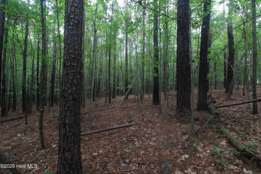 0 Crowatan Trail Carthage, NC 28327