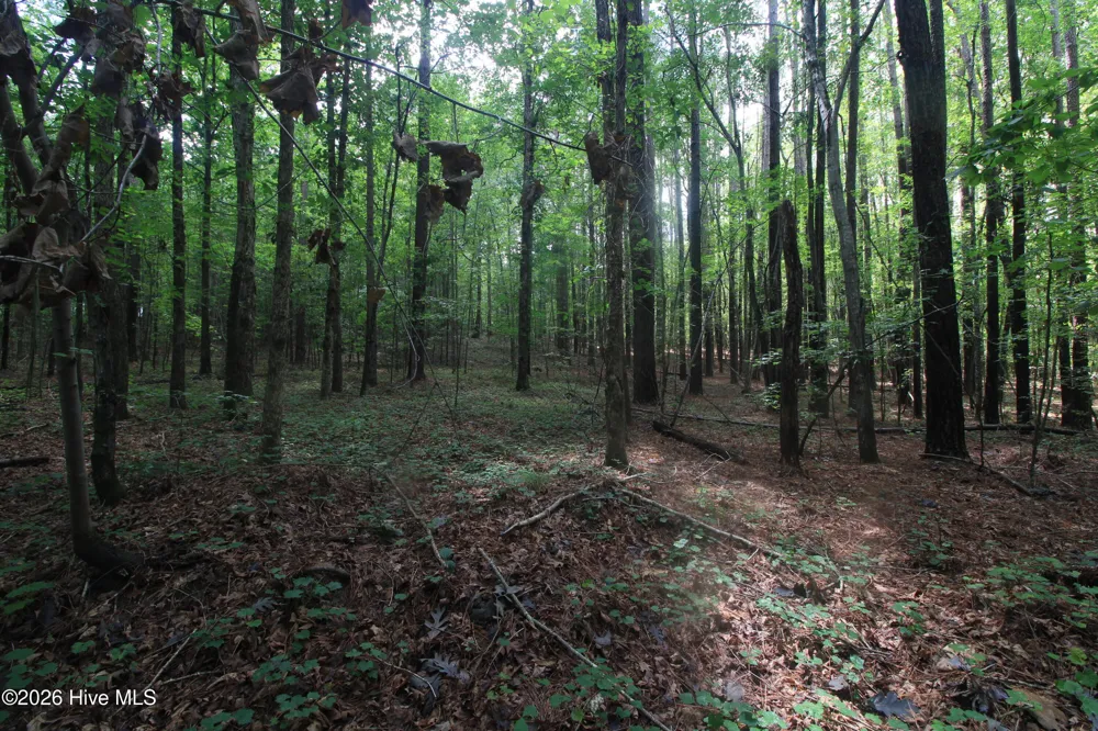0 Crowatan Trail Carthage, NC 28327