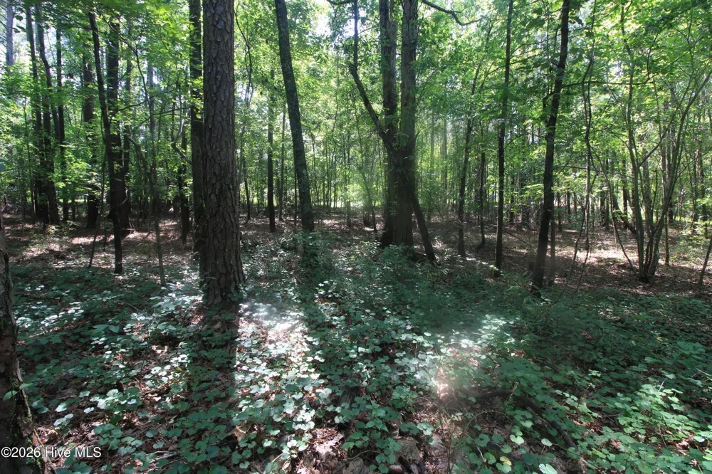 0 Crowatan Trail Carthage, NC 28327