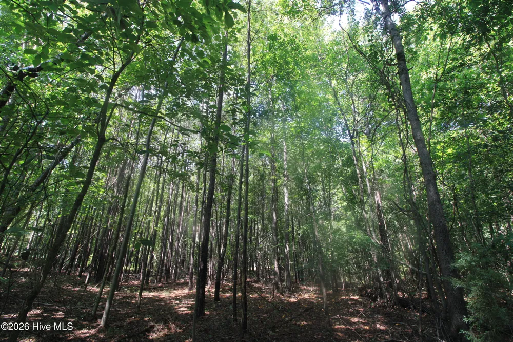 0 Crowatan Trail Carthage, NC 28327