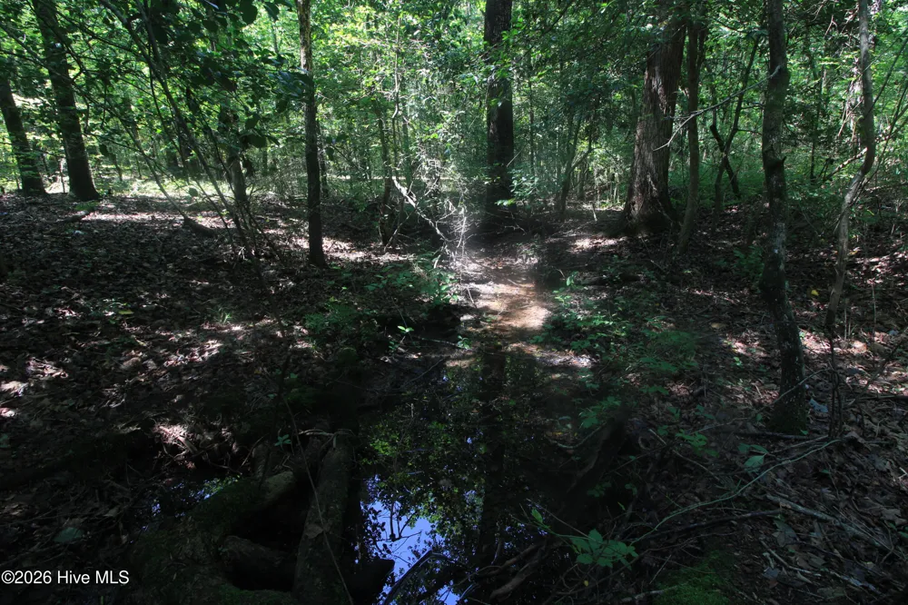 0 Crowatan Trail Carthage, NC 28327