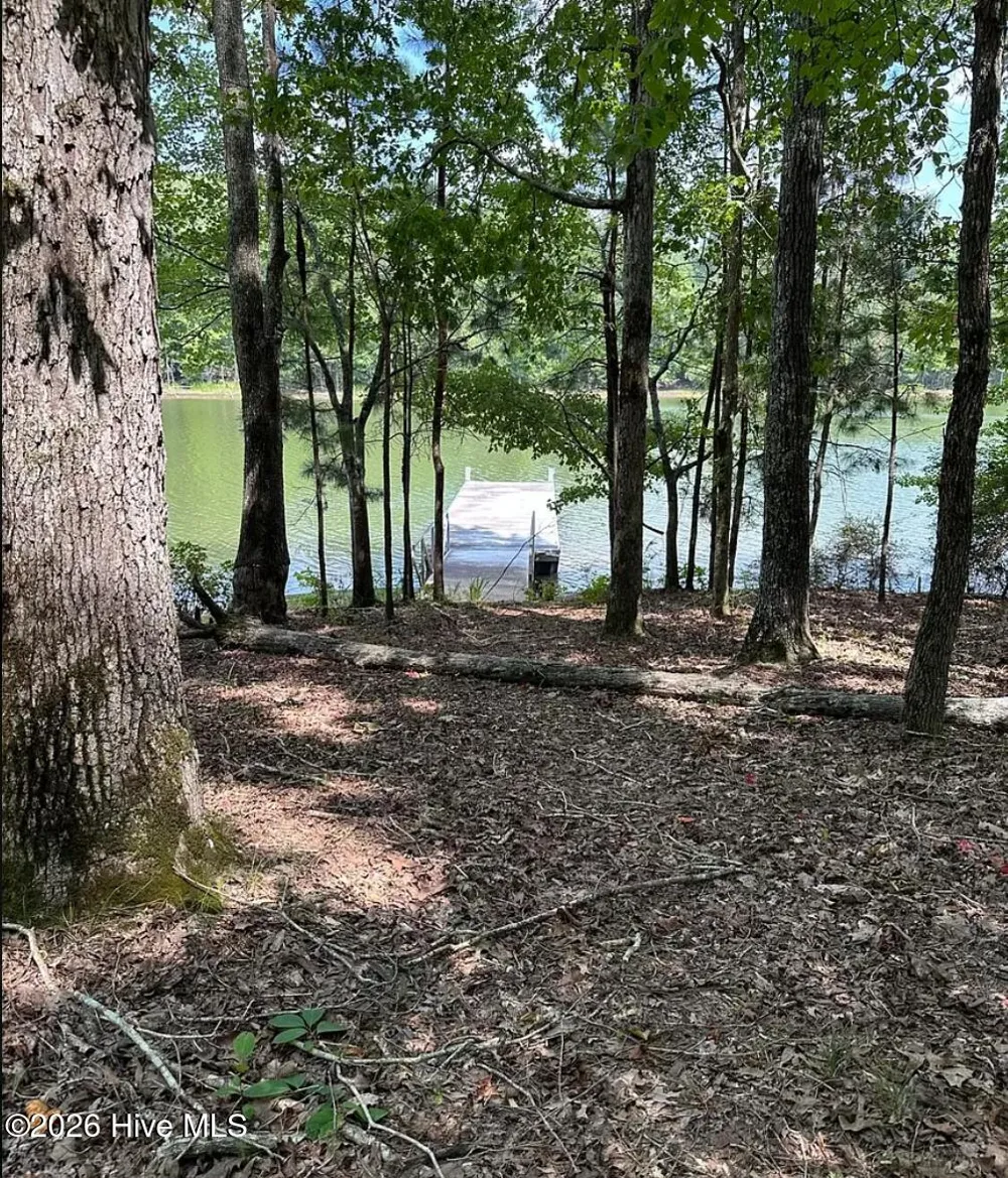 Lot # 10 S Pointe Shores Road Tignall, GA 30668