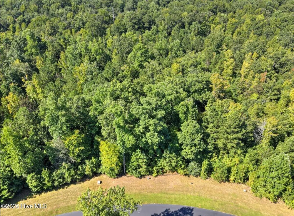 Lot # 10 S Pointe Shores Road Tignall, GA 30668