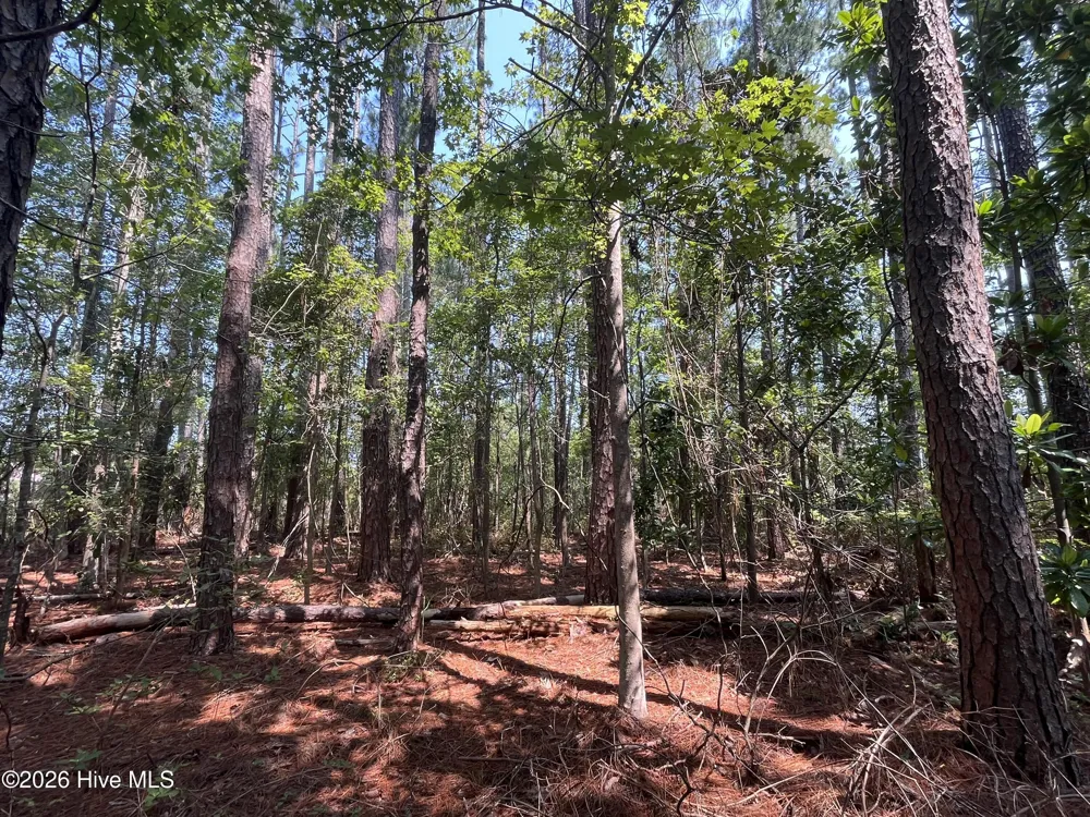 94 Whortonsville Road Merritt, NC 28556
