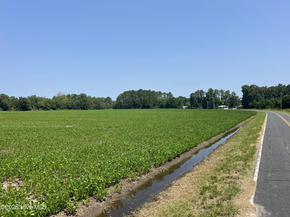94 Whortonsville Road Merritt, NC 28556
