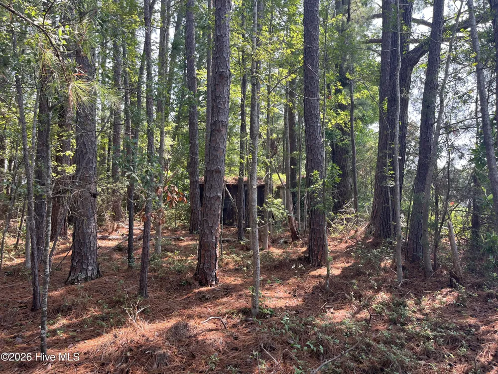 94 Whortonsville Road Merritt, NC 28556