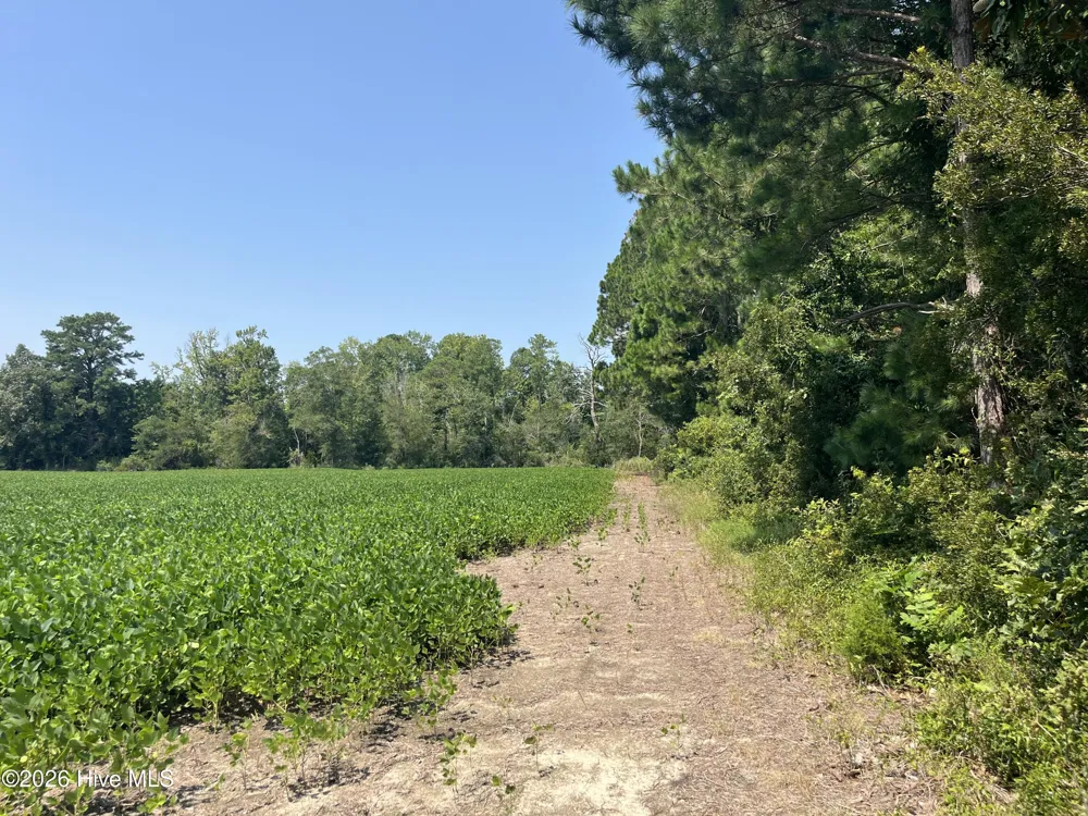 94 Whortonsville Road Merritt, NC 28556