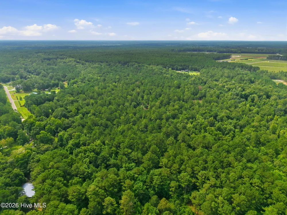 0 Copperhead Lane Burgaw, NC 28425