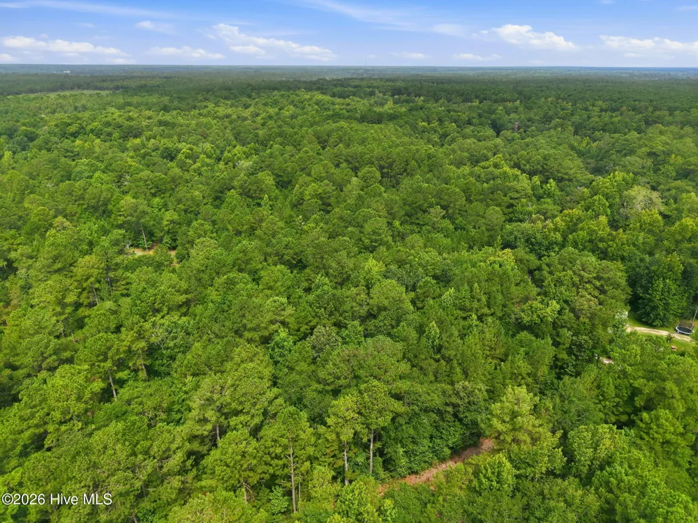 0 Copperhead Lane Burgaw, NC 28425
