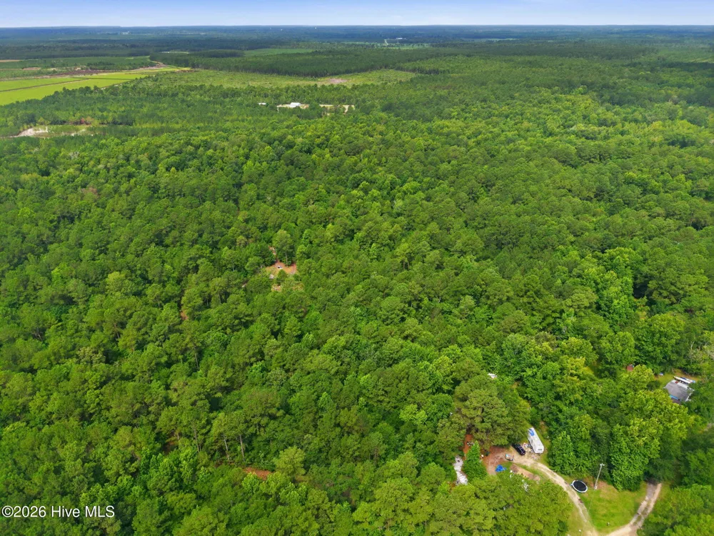 0 Copperhead Lane Burgaw, NC 28425