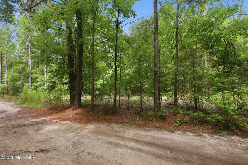 0 Copperhead Lane Burgaw, NC 28425