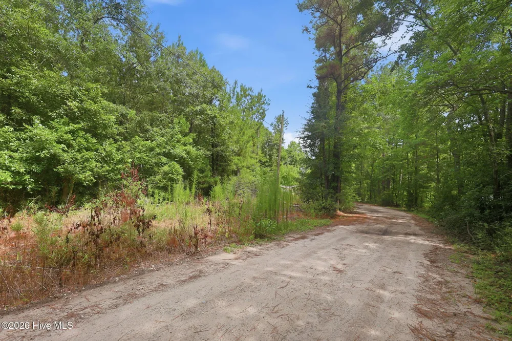 0 Copperhead Lane Burgaw, NC 28425