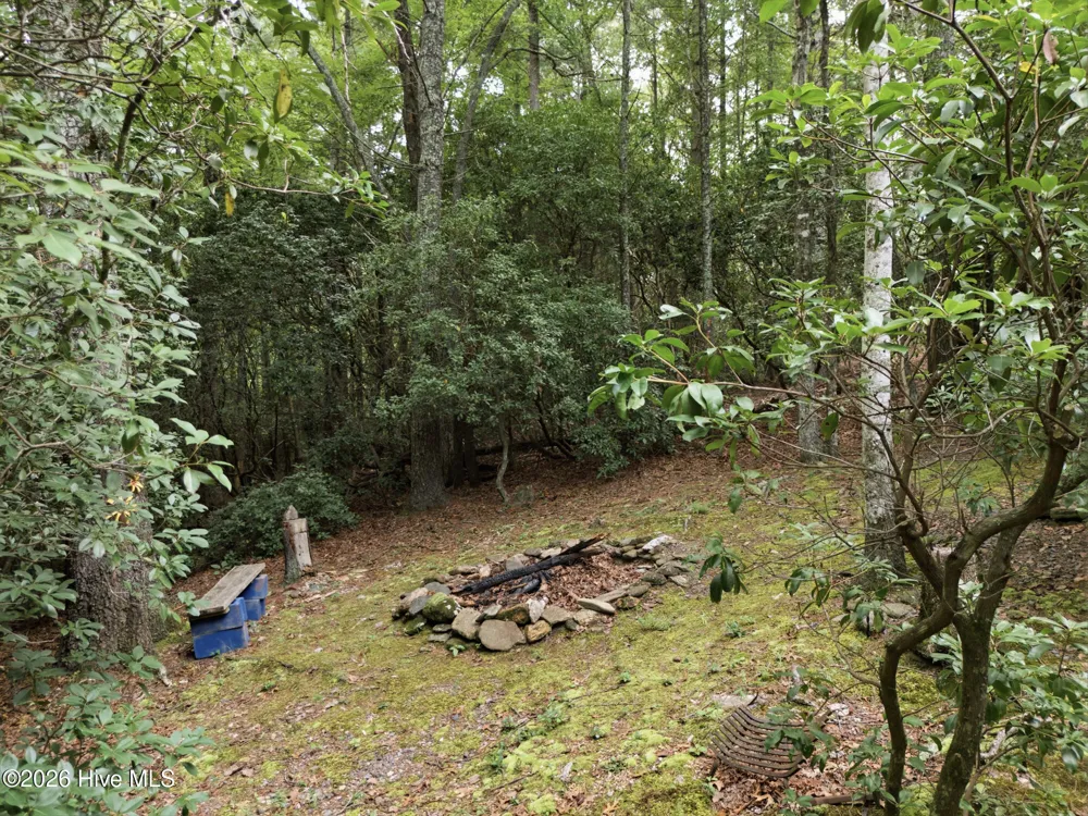 221 Chatto Loop Murphy, NC 28906
