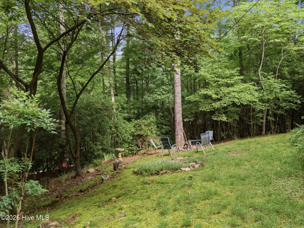 221 Chatto Loop Murphy, NC 28906