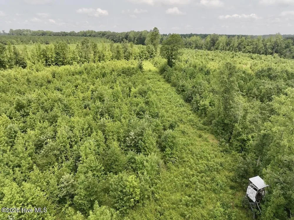15 Rainbow Road Scotland Neck, NC 27874