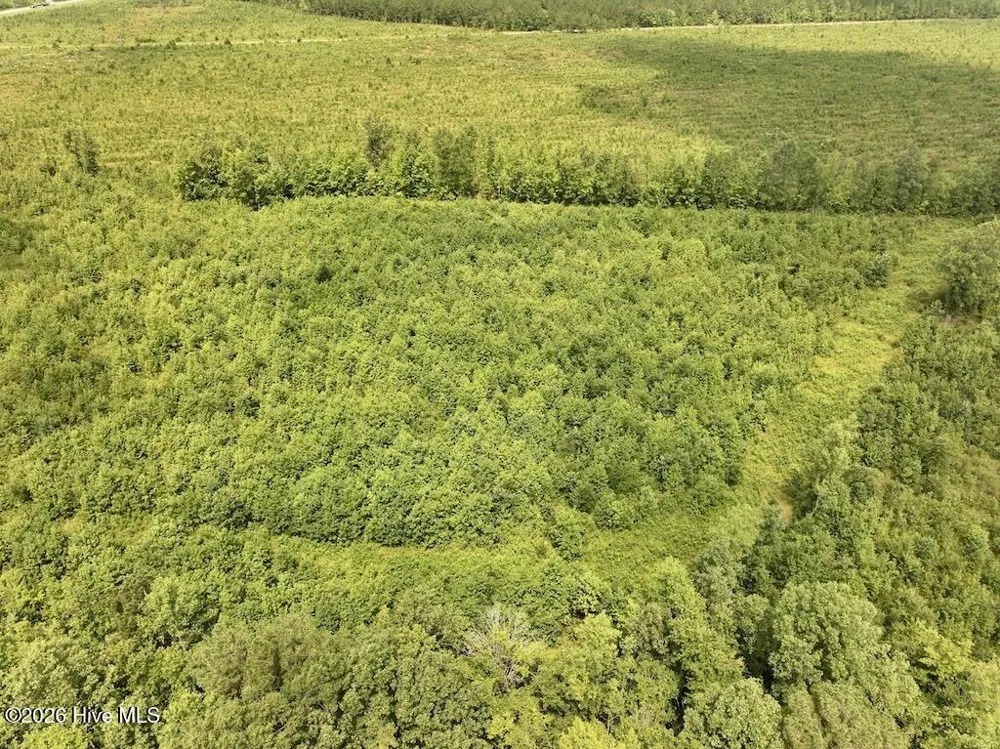 15 Rainbow Road Scotland Neck, NC 27874