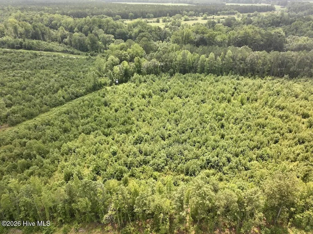 15 Rainbow Road Scotland Neck, NC 27874