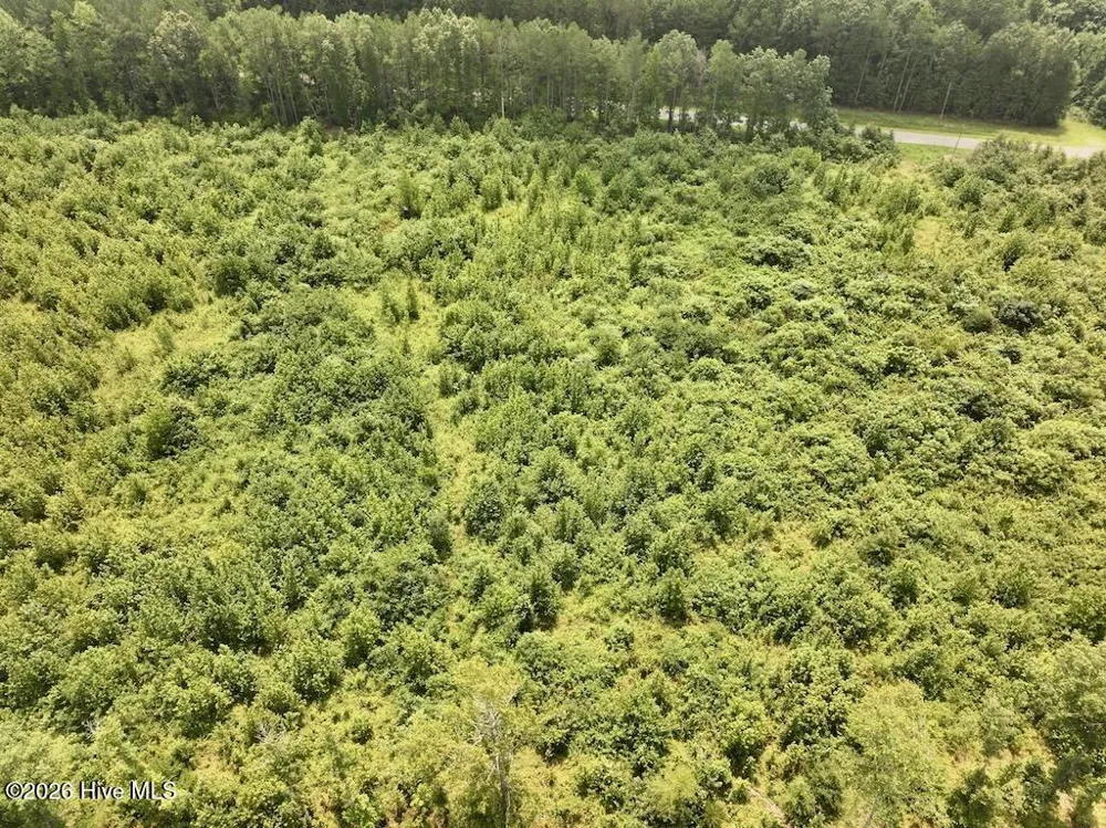 15 Rainbow Road Scotland Neck, NC 27874