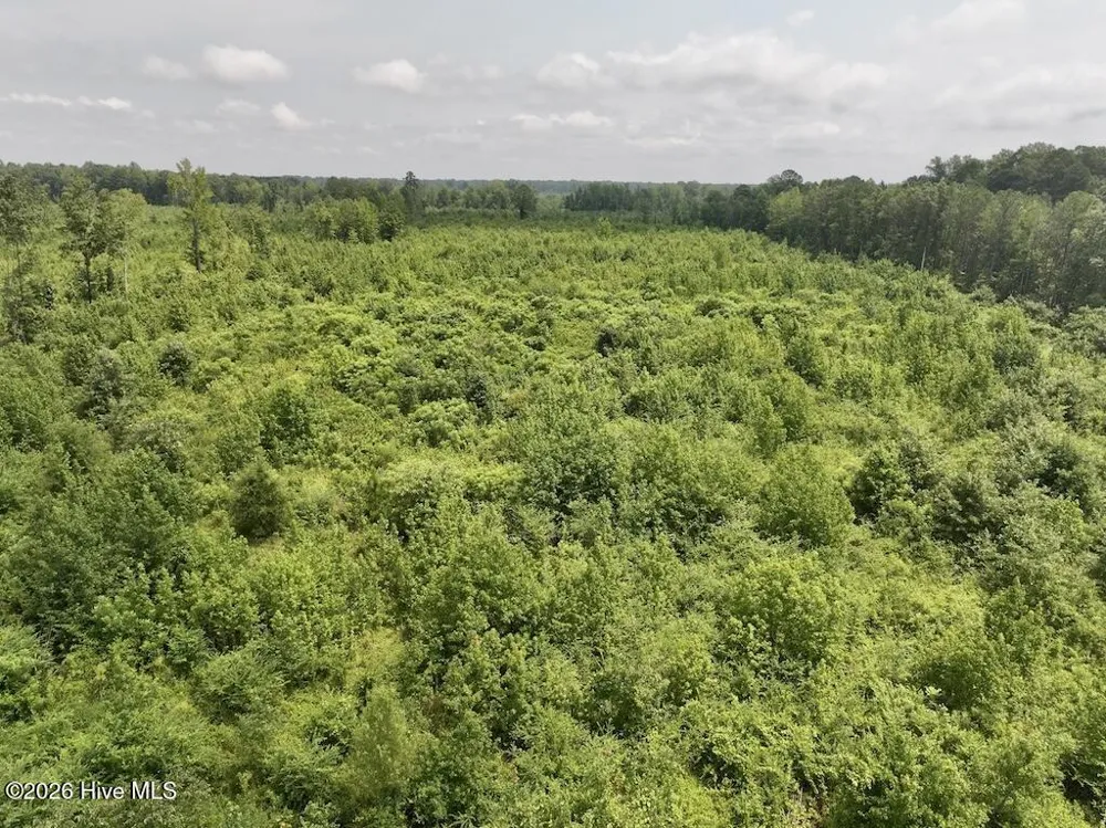 15 Rainbow Road Scotland Neck, NC 27874