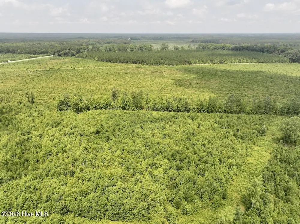 15 Rainbow Road Scotland Neck, NC 27874
