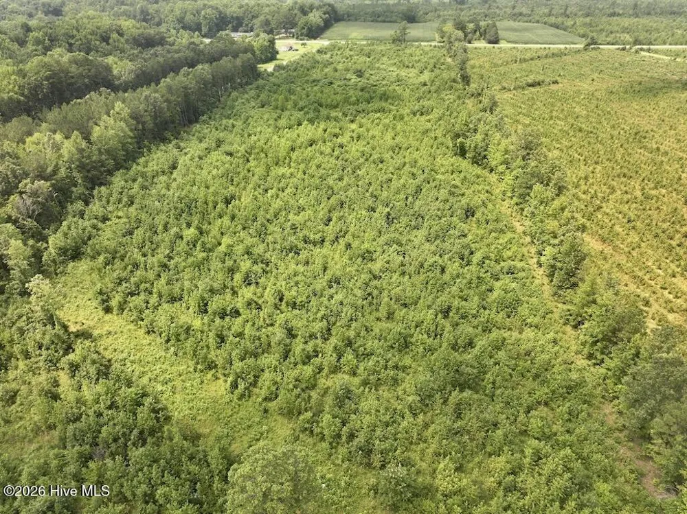 15 Rainbow Road Scotland Neck, NC 27874