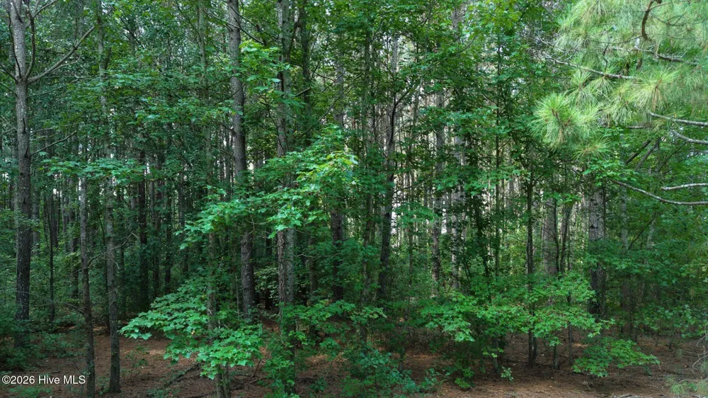 0 Prospect Road Pembroke, NC 28372