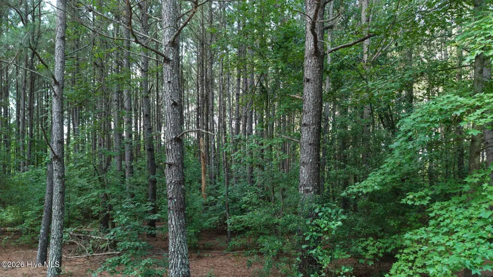 0 Prospect Road Pembroke, NC 28372