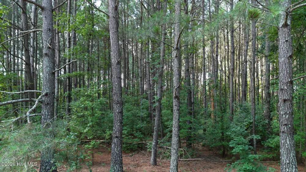 0 Prospect Road Pembroke, NC 28372