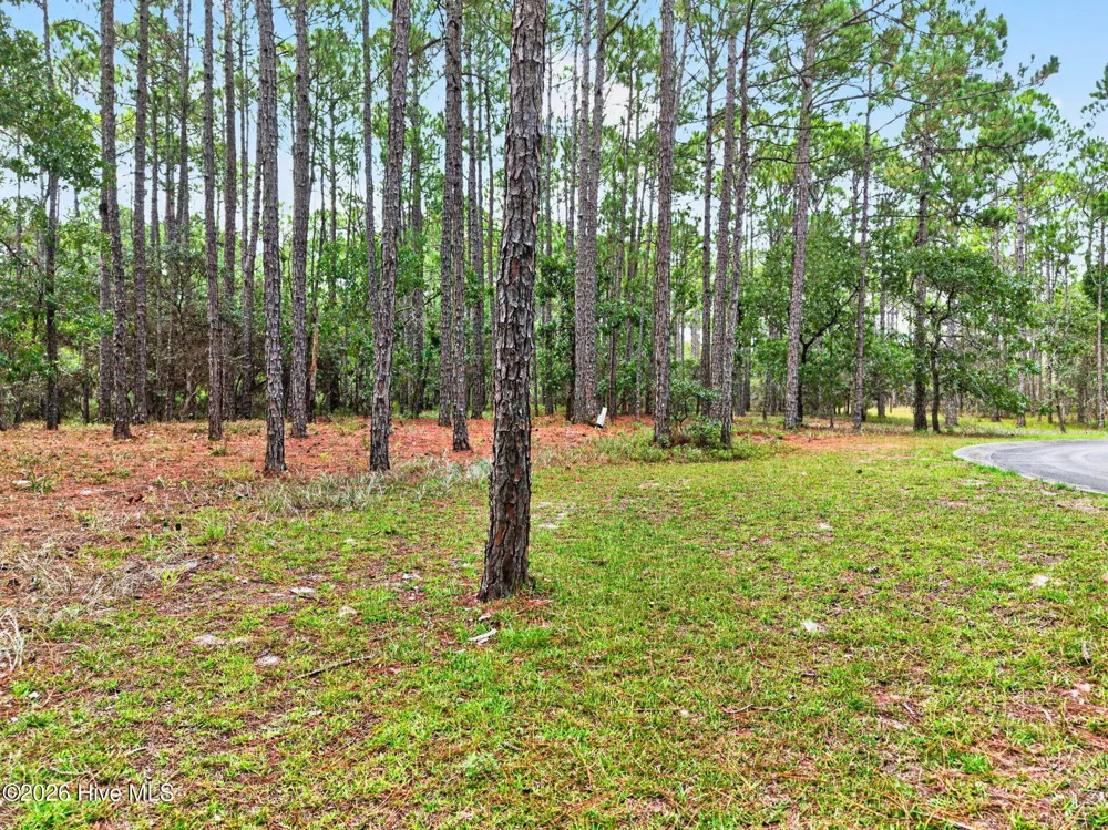539 Verona Pointe SE Bolivia, NC 28422