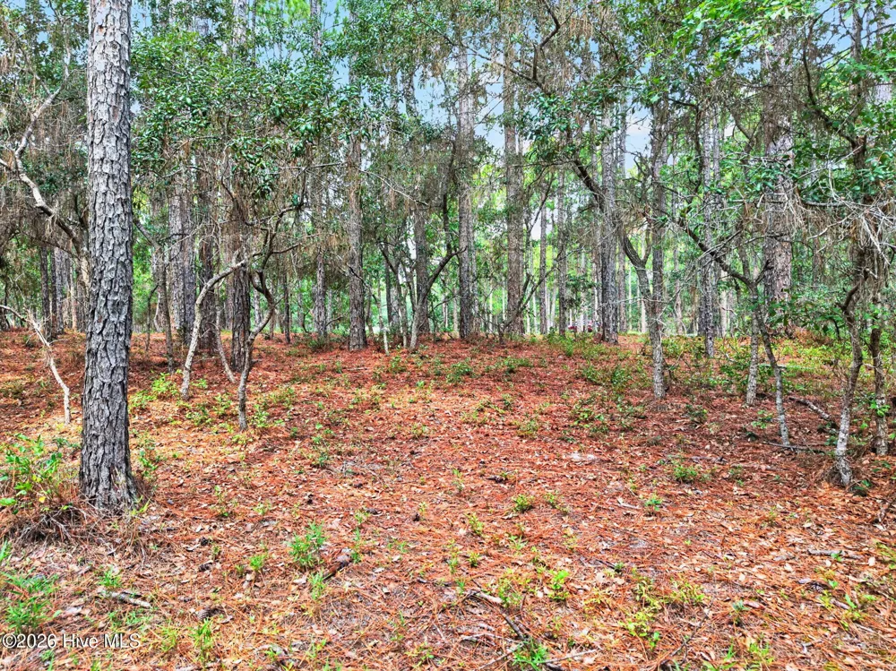539 Verona Pointe SE Bolivia, NC 28422