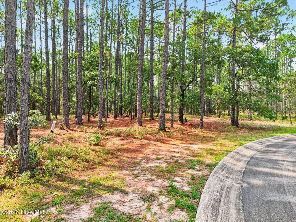 539 Verona Pointe SE Bolivia, NC 28422