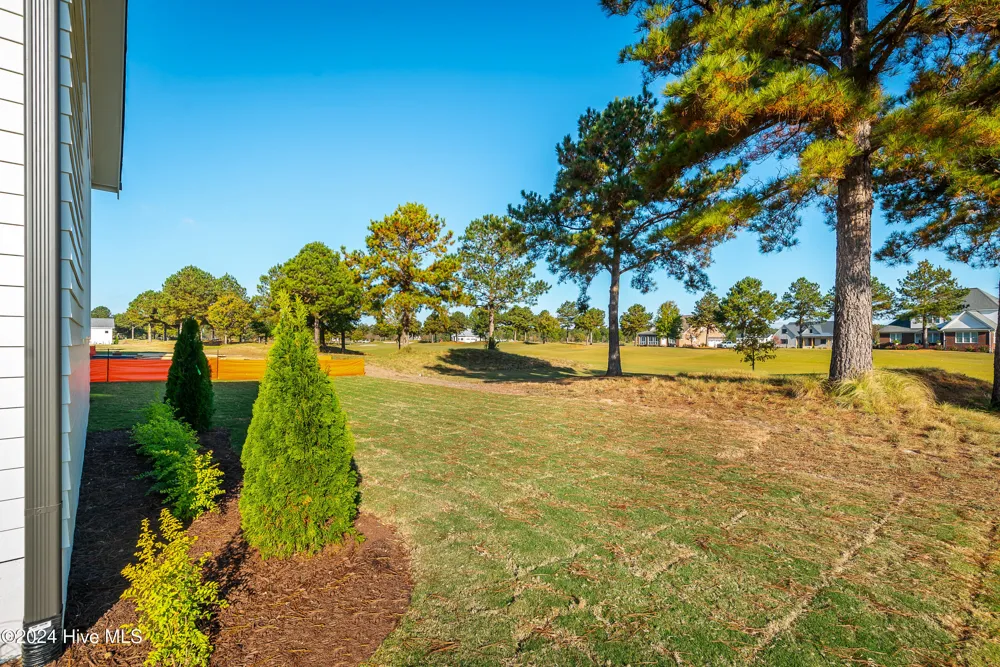 46 Pine Tree Point Snow Hill, NC 28580