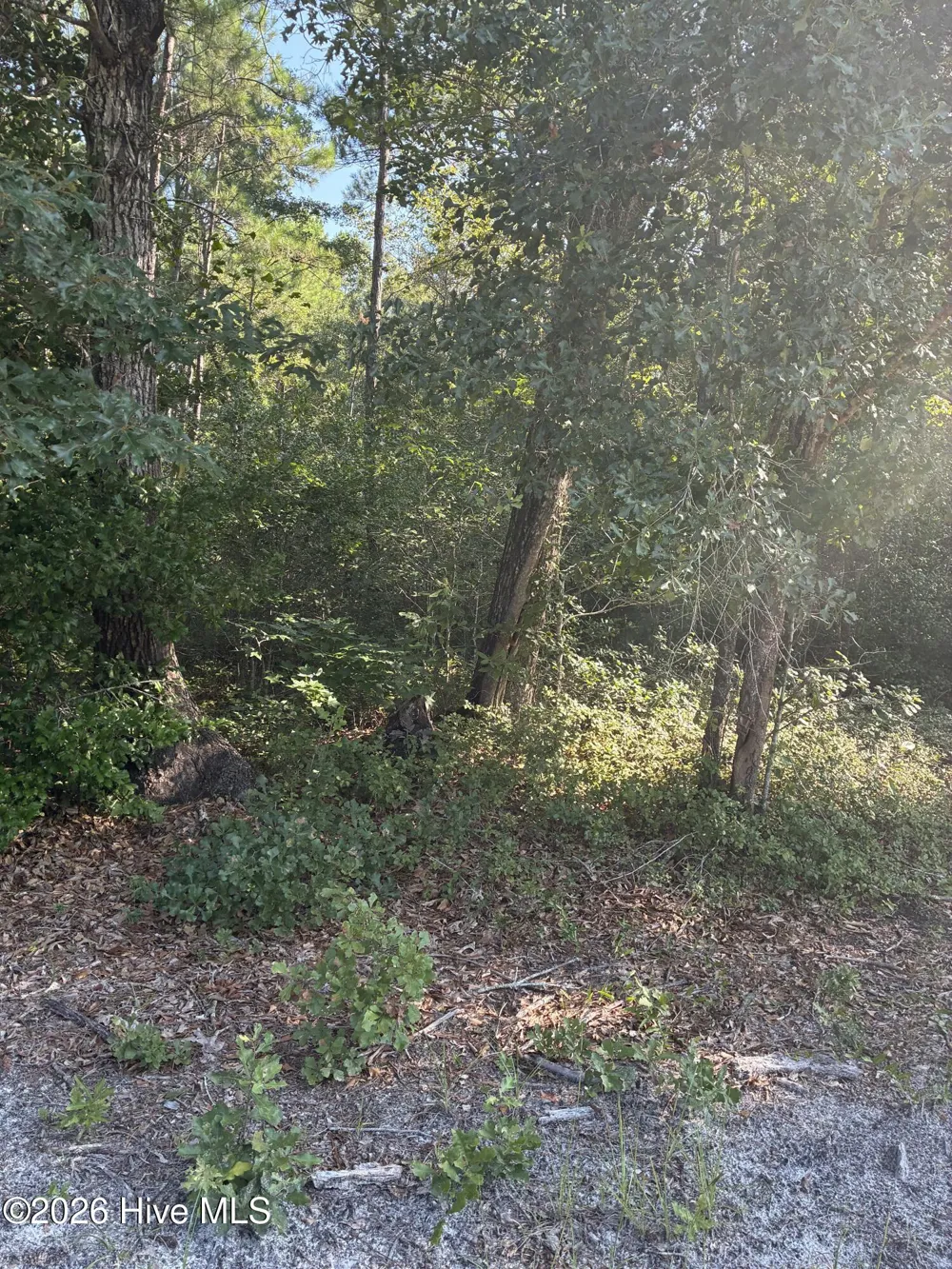 Address Not Shown Leland, NC 28451