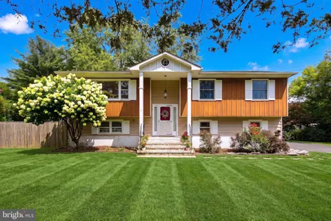 81 FORD ROAD