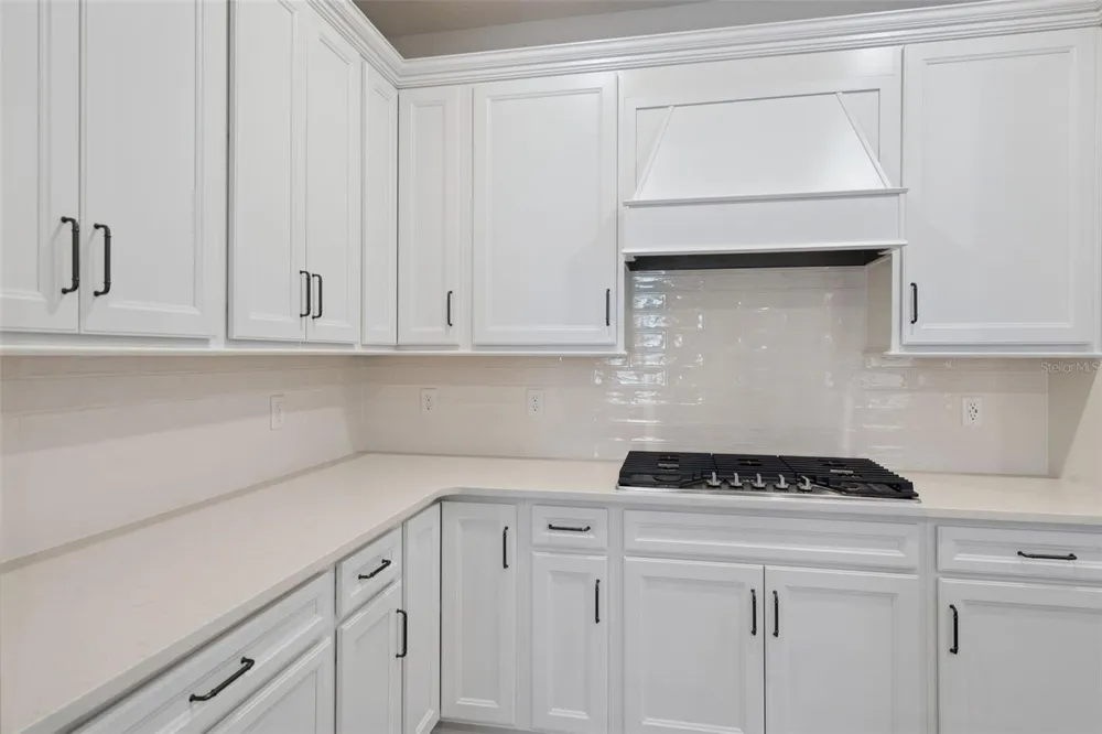 2546 DEL WEBB DR Minneola, FL 34715