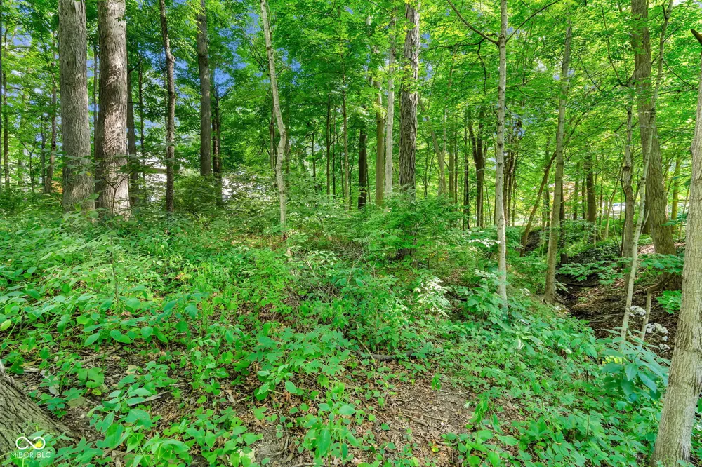 698 Forest Road Crawfordsville, IN 47933