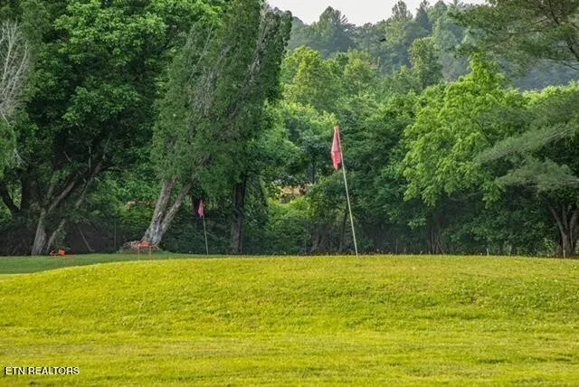 159 Flamingo Circle Townsend, TN 37882