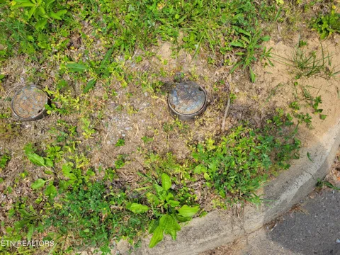 15 Peace Lane