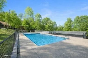 460 Sassafras Way Cosby, TN 37722
