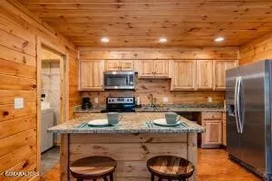 460 Sassafras Way Cosby, TN 37722