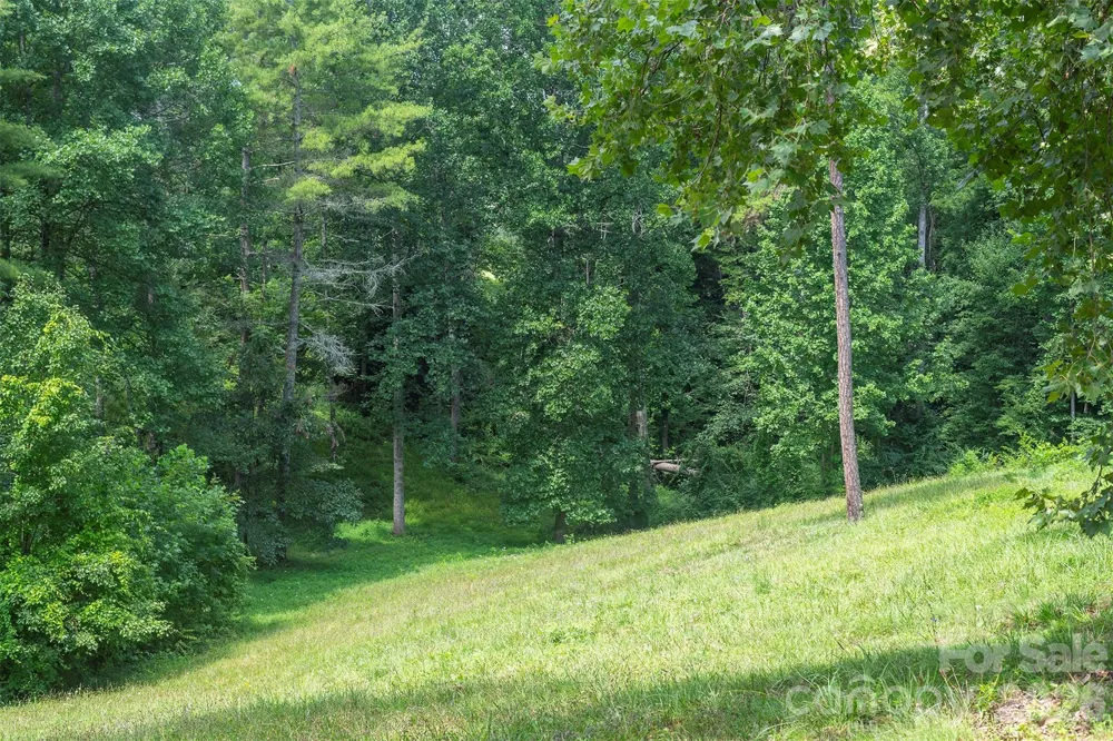 90 Pine Forest Drive Weaverville, NC 28787