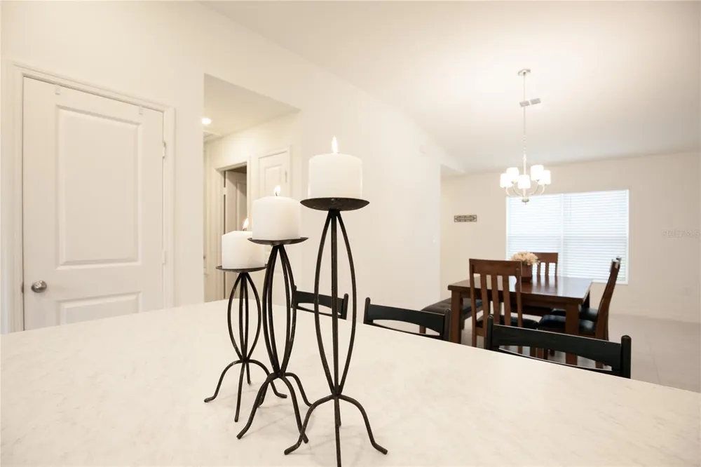 9791 CARSON WAY Leesburg, FL 34788