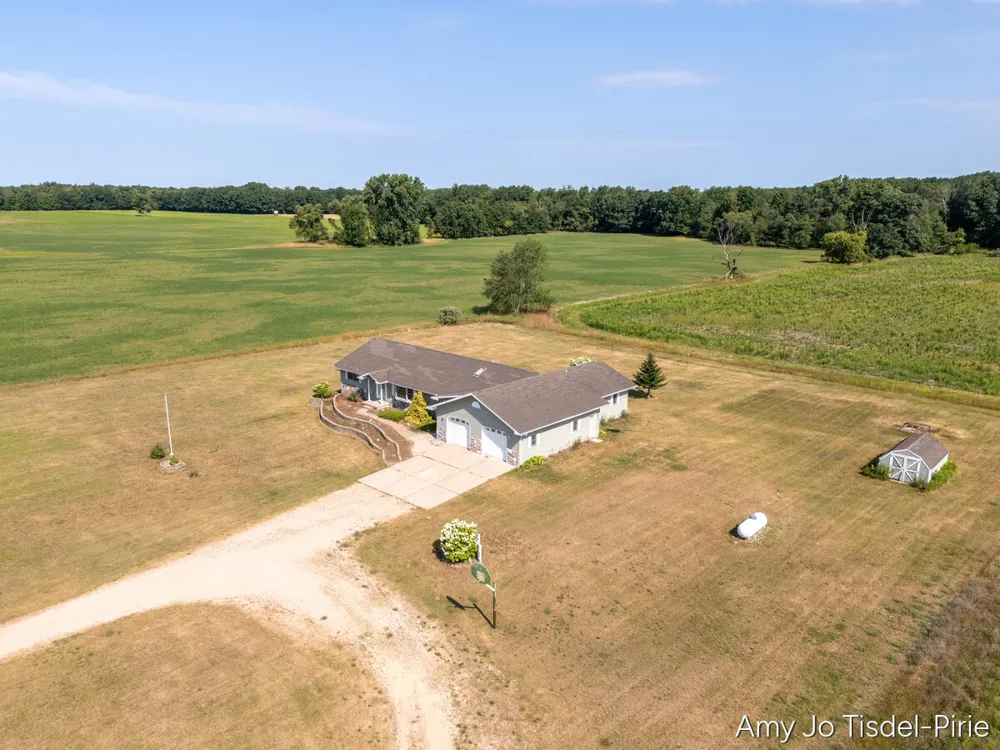 16972 W Stanton Road Pierson, MI 49339