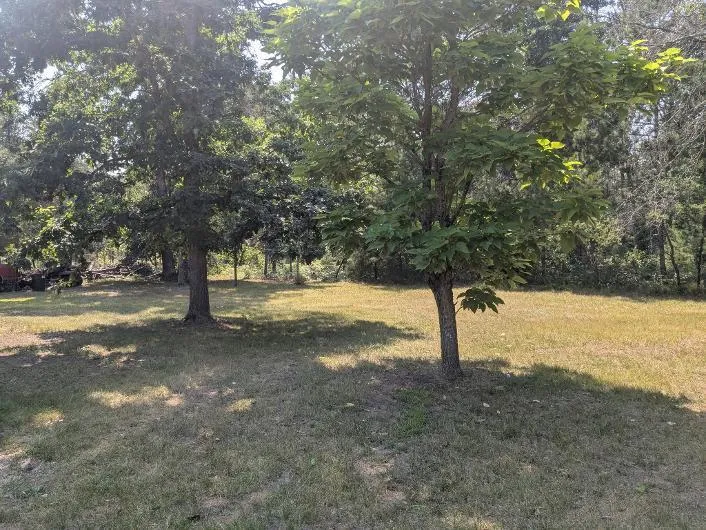4136 W 32nd Street Baldwin, MI 49304