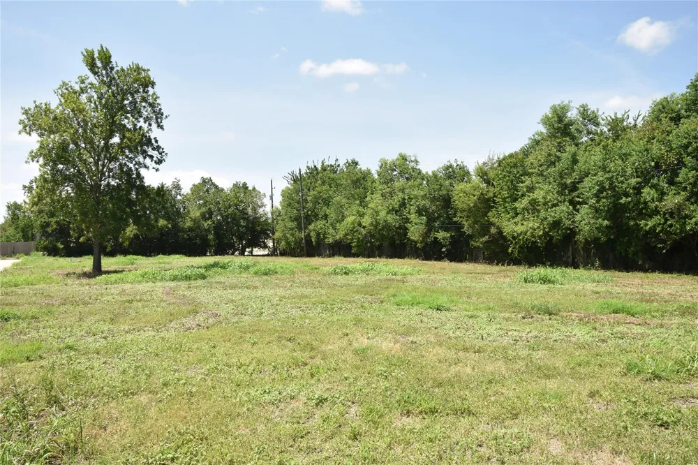 104 Devi Lane Pearland, TX 77584