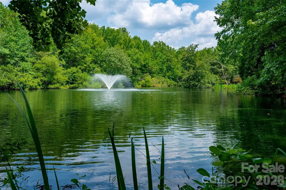 1103 Real Quiet Lane Waxhaw, NC 28173
