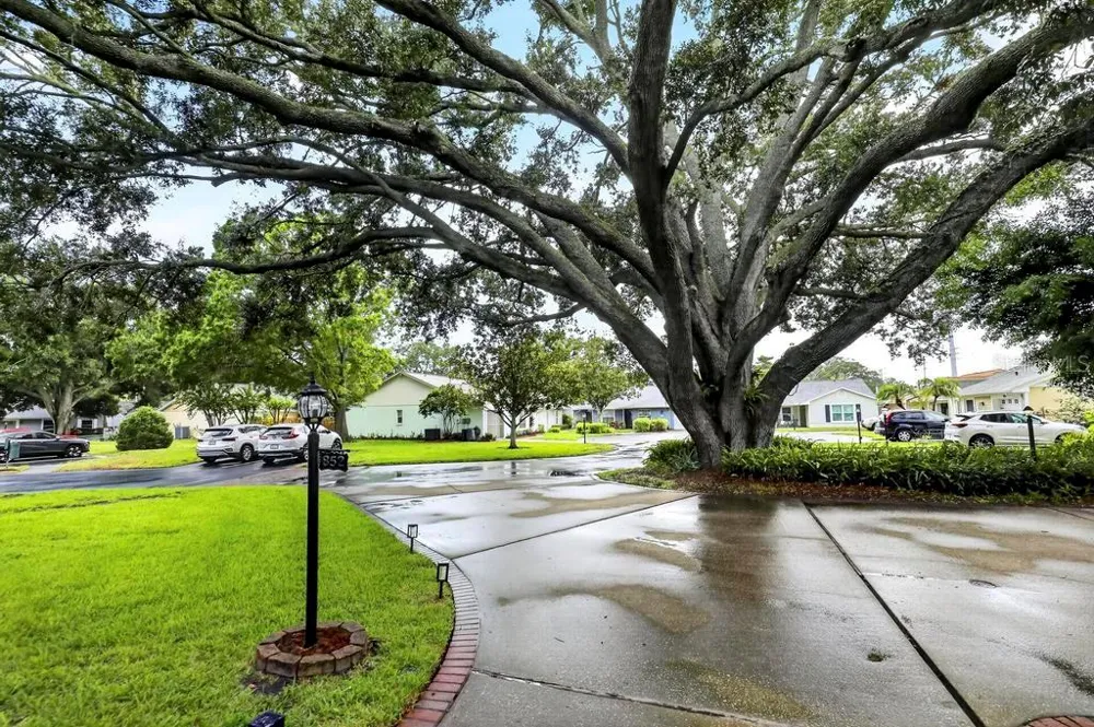 852 FRANKLIN CIRCLE Palm Harbor, FL 34683