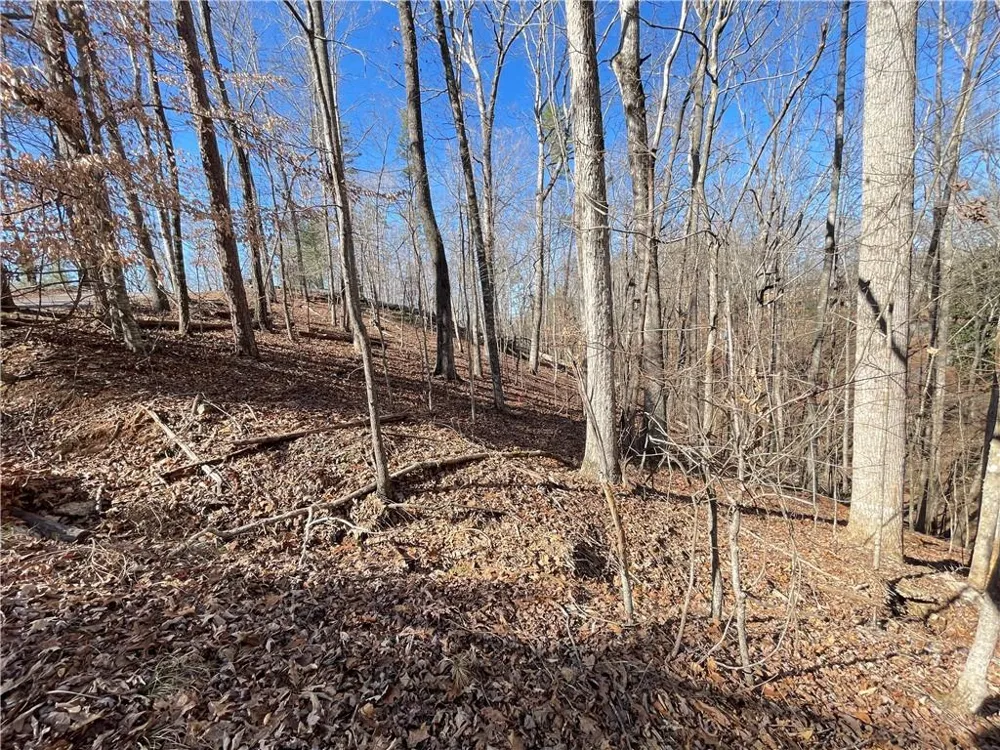 7804 Poplar Place Murrayville, GA 30564