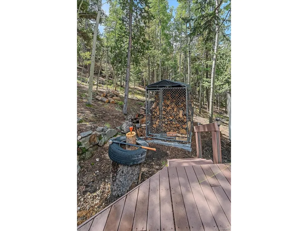 11471 Marks Drive Conifer, CO 80433